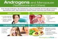 What do androgens do in females