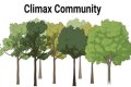 What is a climax community examples